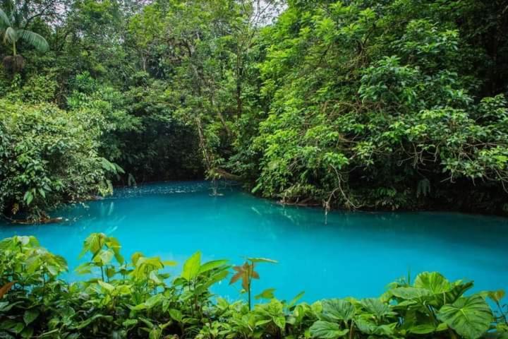 Cabinas El Pilon Rio Celeste Extérieur photo